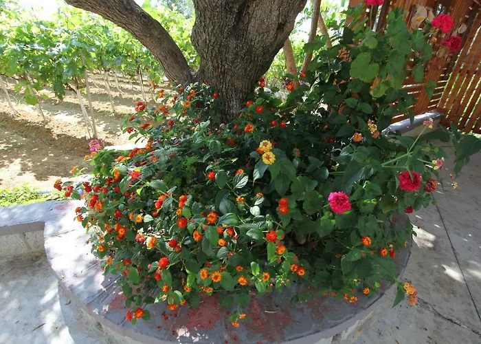 Apartman Tosis Zvoronáta