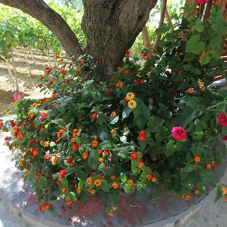 Appartement Tosis Svoronata